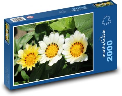 Žlutá gazánie - letní květina, zahrada - Puzzle 2000 dílků, rozměr 90x60 cm