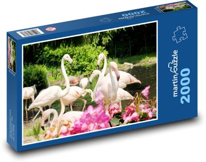 Plameňáci - ptáci, zvířata - puzzle 2000 dílků