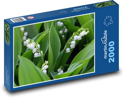 Bílé konvalinky - jarní květy, rostlina - Puzzle 2000 dílků, rozměr 90x60 cm