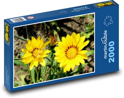 Summer flowers - gazania, garden - Puzzle 2000 pieces, size 90x60 cm 