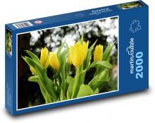 Žluté tulipány - květiny, jaro Puzzle 2000 - 90x60 cm