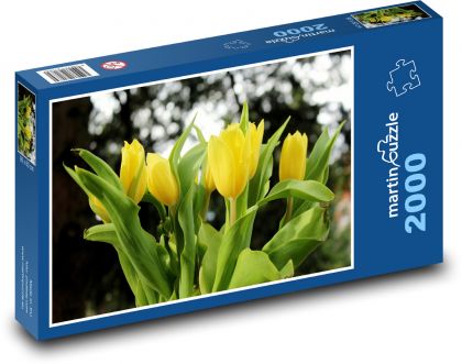 Gelbe Tulpen - Blüten, Frühling - Puzzle - 2000 Teile