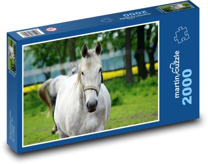 Grey horse - animal, farm - Puzzle 2000 pieces, size 90x60 cm 