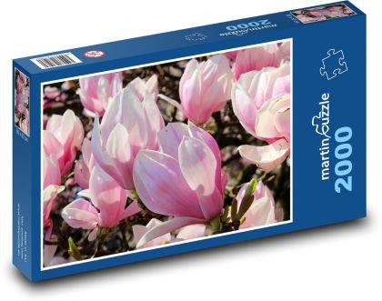 Magnolia - ružové kvety, strom - Puzzle 2000 dielikov, rozmer 90x60 cm 