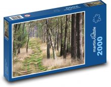 Lesní cesta - stezka, stromy Puzzle 2000 - 90x60 cm