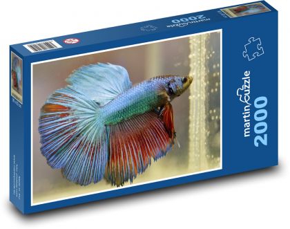 Betta - ryby, akvárium - Puzzle 2000 dielikov, rozmer 90x60 cm 