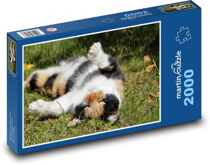 Kočka - mazlíček, zvíře - Puzzle 2000 dílků, rozměr 90x60 cm