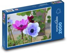 Sasanka - kvetina, záhrada Puzzle 2000 dielikov - 90 x 60 cm