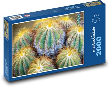 Kaktus - exotika, rostlina - Puzzle 2000 dílků, rozměr 90x60 cm