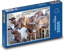 Goats - farm, animals Puzzle 2000 pieces - 90 x 60 cm