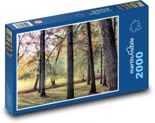 Les - stromy, lesní cesta Puzzle 2000 dílků - 90 x 60 cm