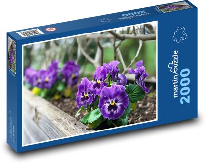 Purple pansy - spring flowers, flowers - Puzzle 2000 pieces, size 90x60 cm 