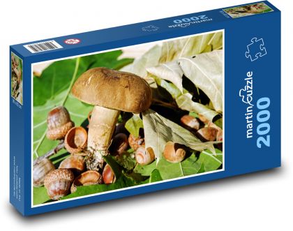 Pilze - Eicheln, Blätter - Puzzle - 2000 Teile