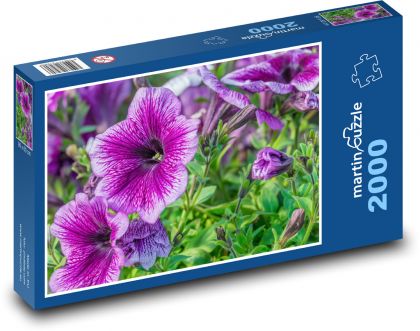 Petunia - fialové kvety, rastliny - Puzzle 2000 dielikov, rozmer 90x60 cm 