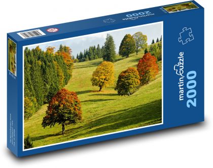Podzimní les - listí, stromy - Puzzle 2000 dílků, rozměr 90x60 cm