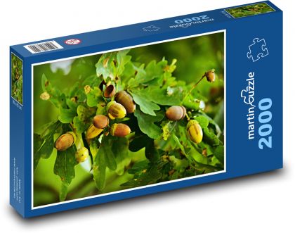 Eicheln - Eiche, Baum - Puzzle - 2000 Teile