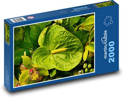 Anthurium - kvet, rastlina - Puzzle 2000 dielikov, rozmer 90x60 cm 