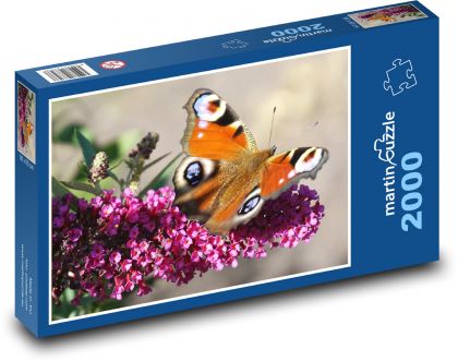 Motýl - květ, opýlit - Puzzle 2000 dílků, rozměr 90x60 cm