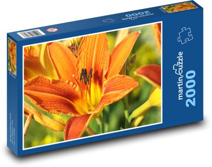 Oranžové lilie - květiny, rostliny - Puzzle 2000 dílků, rozměr 90x60 cm