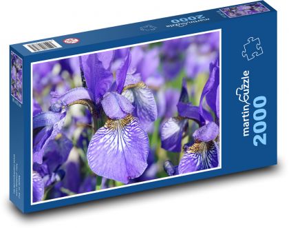 Fialové kosatce - kvety, záhrada - Puzzle 2000 dielikov, rozmer 90x60 cm 