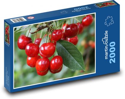 Červená třešeň - ovoce, zralé - Puzzle 2000 dílků, rozměr 90x60 cm