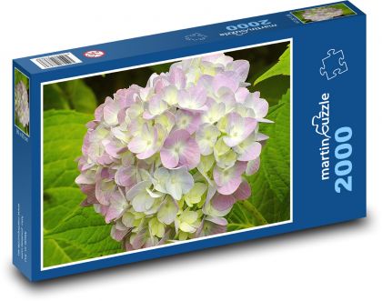 Blume Hortensie - Pflanze, Blume - Puzzle - 2000 Teile