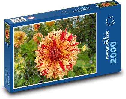 Jiřina - okvětní lístky, květ - Puzzle 2000 dílků, rozměr 90x60 cm