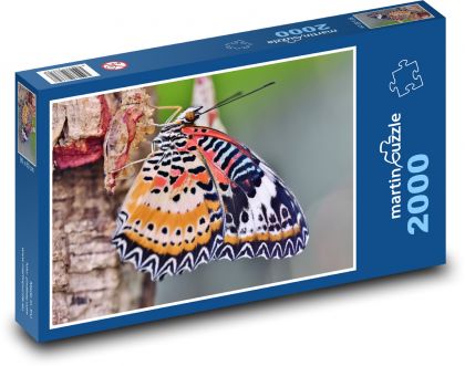 Tropický motýl - hmyz, zvíře - puzzle 2000 dílků