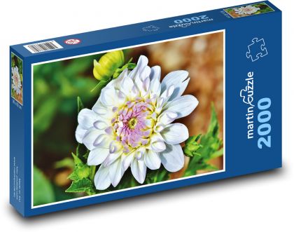 Jiřina - kvetina, záhrada - Puzzle 2000 dielikov, rozmer 90x60 cm 