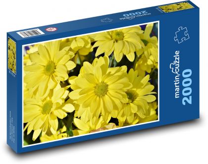 Chryzantéma - žluté květy, rostlina  - Puzzle 2000 dílků, rozměr 90x60 cm