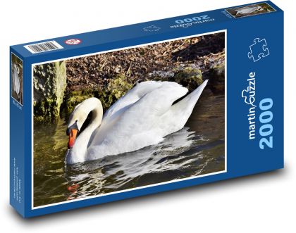 Labuť - vodný vták, zviera - Puzzle 2000 dielikov, rozmer 90x60 cm 