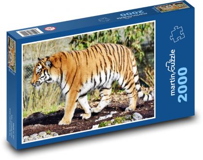 Tyger - velká kočka, dravec - puzzle 2000 dílků