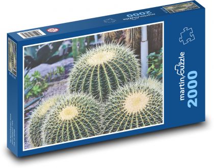 Cactus - thorns, prickly - Puzzle 2000 pieces, size 90x60 cm 