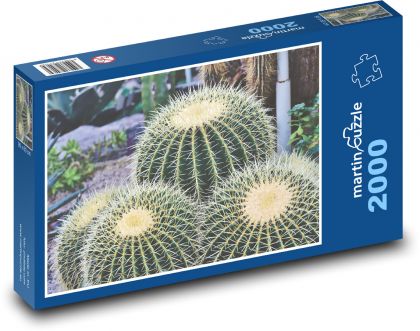 Kaktus - Dornen, stachelig - Puzzle - 2000 Teile