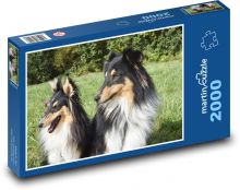 Shetland Shepherd - psy, domáce zvieratá Puzzle 2000 dielikov - 90 x 60 cm