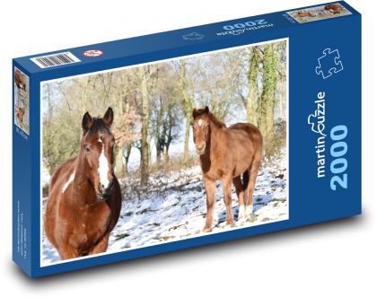 Kone - zvieratá, sneh - Puzzle 2000 dielikov, rozmer 90x60 cm 