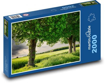 Pšeničné pole - stromy, príroda - Puzzle 2000 dielikov, rozmer 90x60 cm 