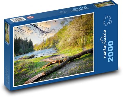 Pień drzewa - rzeka, las - Puzzle 2000 elementów, rozmiar 90x60 cm