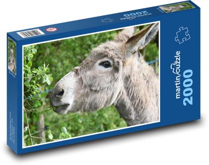 Osioł - zwierzę, gospodarstwo - Puzzle 2000 elementów, rozmiar 90x60 cm
