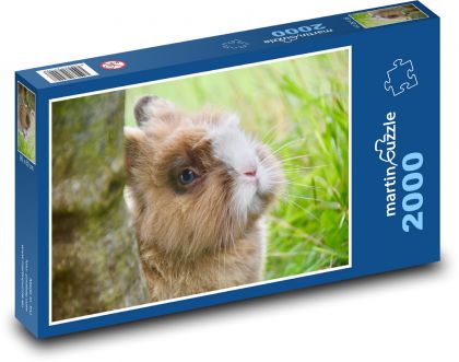 Zakrslý králík - zvíře, savec  - Puzzle 2000 dílků, rozměr 90x60 cm