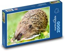 Jeż - zwierzę, jeść Puzzle 2000 elementów - 90x60 cm