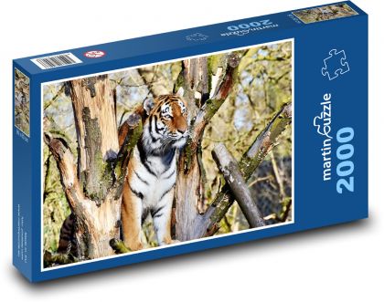 Tygr - velká kočka, divoká - Puzzle 2000 dílků, rozměr 90x60 cm