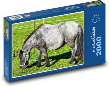 Poník - malý kůň, hříva - Puzzle 2000 dílků, rozměr 90x60 cm