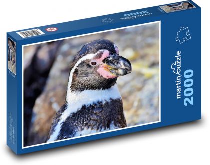 Tučniak - vodný vták, zviera - Puzzle 2000 dielikov, rozmer 90x60 cm 