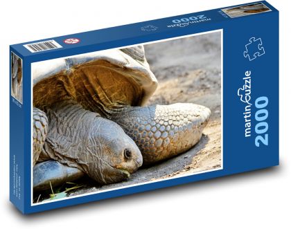 Giant turtle - reptile, zoo - Puzzle 2000 pieces, size 90x60 cm 