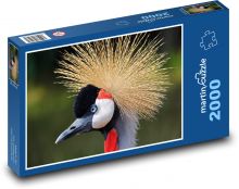 Jeřáb černý - pták, zvíře Puzzle 2000 dílků - 90 x 60 cm