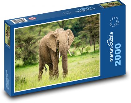 Słoń afrykański - zwierzę, sawanna - Puzzle 2000 elementów, rozmiar 90x60 cm