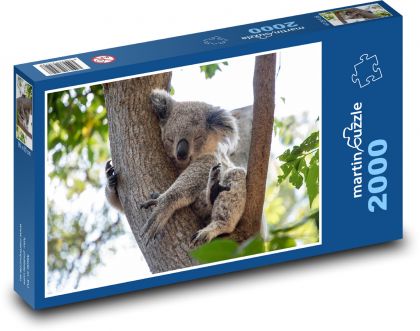 Koala - Teddybär, Tier - Puzzle - 2000 Teile