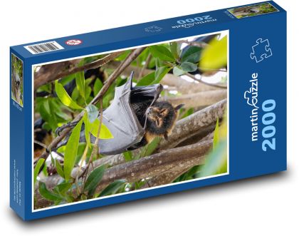 Lis latający - nietoperz, zwierzę - Puzzle 2000 elementów, rozmiar 90x60 cm