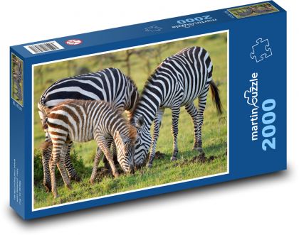 Zebra - pruhované zvíře, savec  - Puzzle 2000 dílků, rozměr 90x60 cm